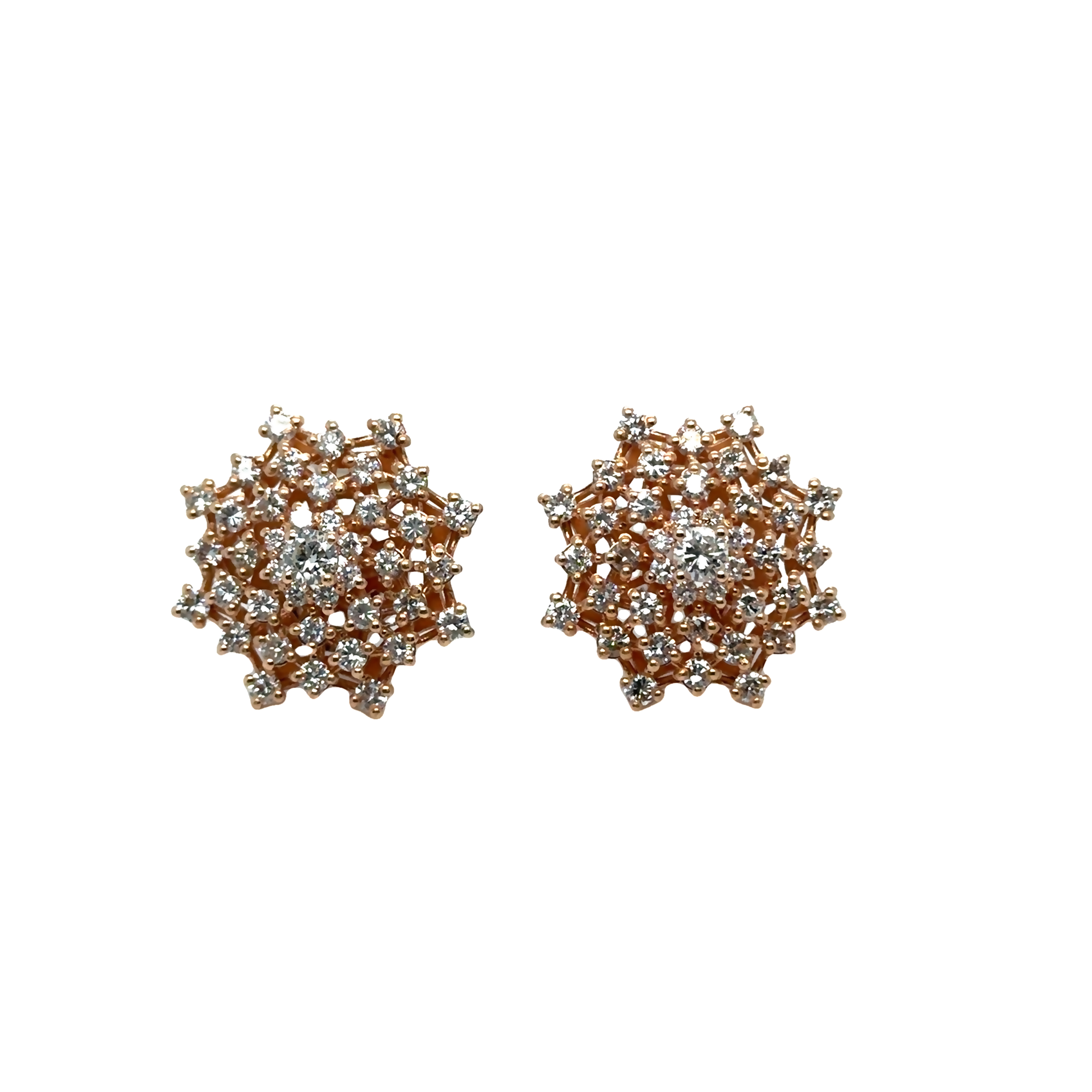 Floral Design Earrings